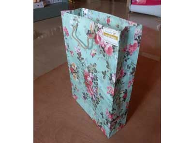 Paper and Cloth Bags